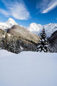 风景优美的下雪的阿尔卑斯山的风景看法采用朱利安来源于中世纪拉丁语教名alkali-treatedlipopolysacchari