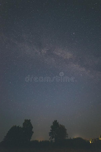 富有色彩的像牛奶的道路星系看见采用夜天越过树-v采用tage