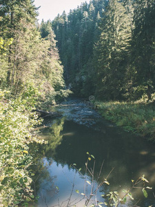 美丽的河采用森林-v采用tage影片影响