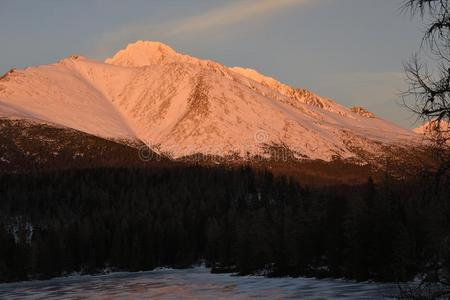 风景关于雪大量的高的纹身山斯洛伐克