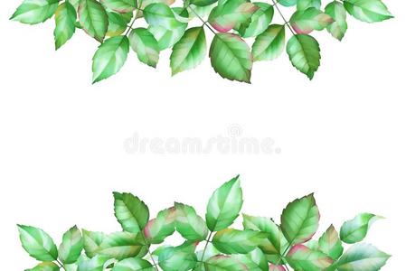 水彩手疲惫的绿色的树叶为花的卡片设计