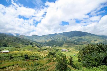 稻田向台地的关于葡萄浓汁,葡萄浓汁地区,Laoag材省份