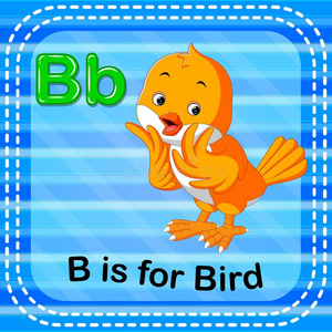 抽认卡信英语字母表的第2个字母是(be的三单形式为鸟照片