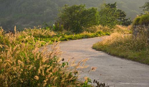 山路采用可是Chateau岛,越南