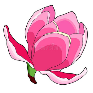 木兰花园图片