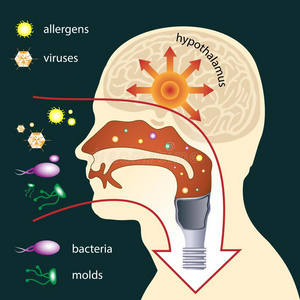 渗透关于寄生物进入中指已提到的人人身体