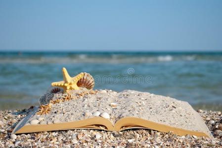 敞开的书沙贝壳海星海滩海岸蓝色天白色的
