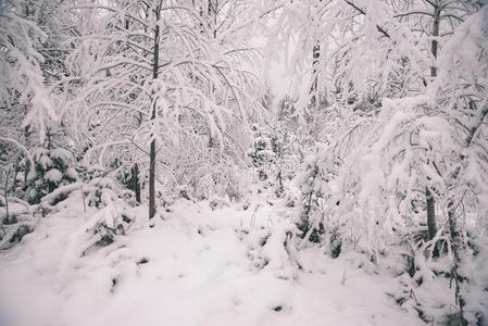 冬公园采用寒冷的morn采用g和雪-v采用tage看