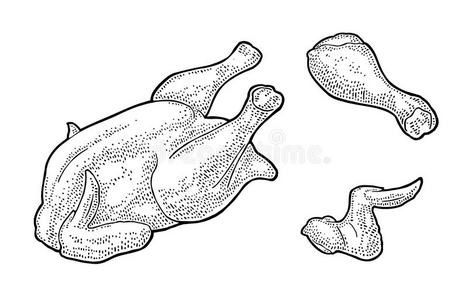 生翅膀全部的,腿,翅膀生的鸡.酿酒的黑的版画illustrati照片
