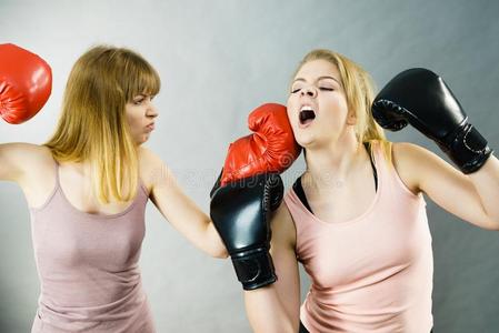 两个令人激动女人所有拳击战斗照片