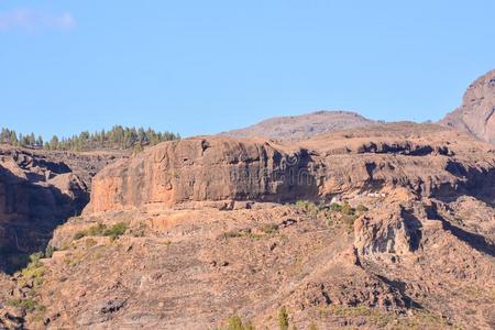 风景采用热带的火山的金丝雀岛Spa采用