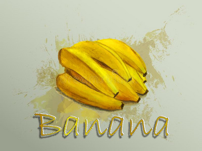 香蕉水彩矢量食物说明.