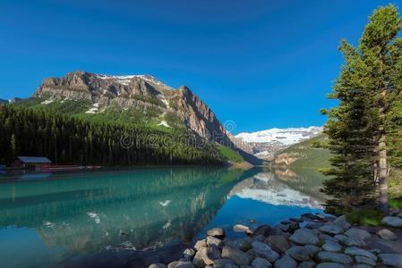 伊莱克路易丝采用加拿大人的落基山脉,班夫国家的公园,加拿大.
