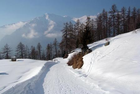 冬风景采用指已提到的人奥斯塔山谷