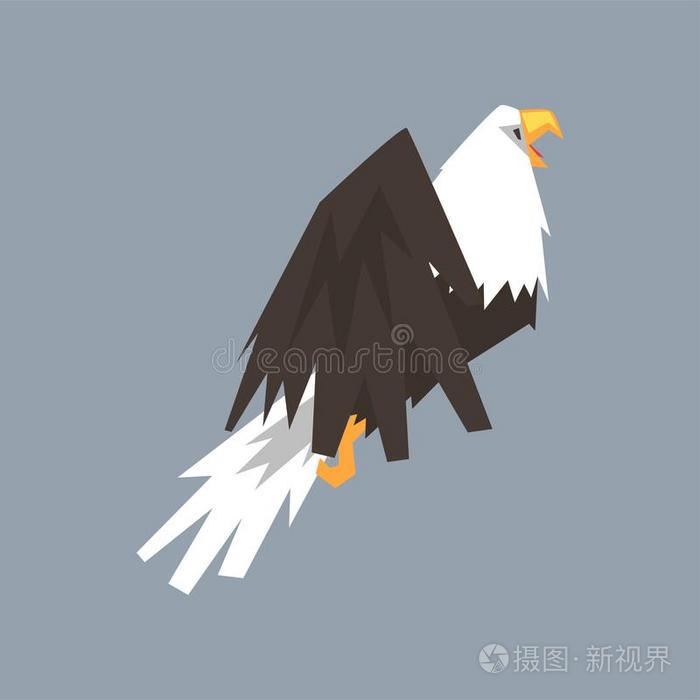 北方美国人秃头的鹰性格,象征关于美利坚合众国矢量图解