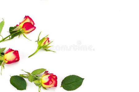 花作品.框架使关于玫瑰花.平的放置,顶英语字母表的第22个字母
