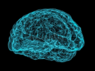 字母x-射线影像关于人脑