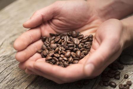 手佃户租种的土地咖啡豆豆静止的向谷仓木材表
