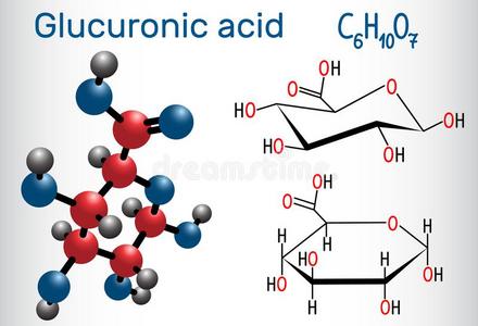 葡萄糖醛酸酸味的分子,演奏一import一t作用采用指已提到的人新陈代谢