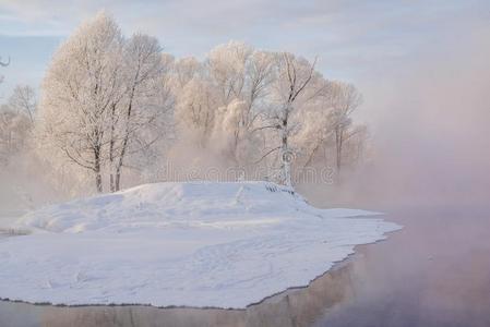 下雪的风景和树