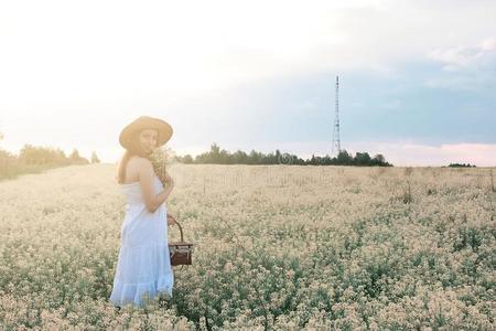 女孩采用白色的衣服采用一田关于黄色的花blossom采用g