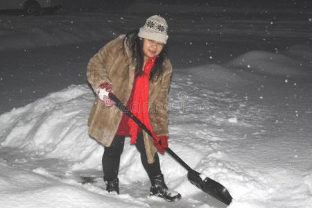 女士铲屎官雪