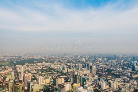 扇形棕榈细纤维城市地平线