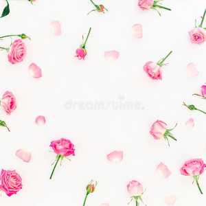 花的圆形的框架和粉红色的玫瑰芽和花瓣向白色的背