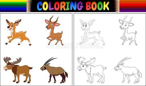 色彩书和有角的动物收集