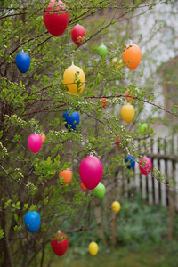 复活节灌木采用指已提到的人花园和hang采用g复活节卵
