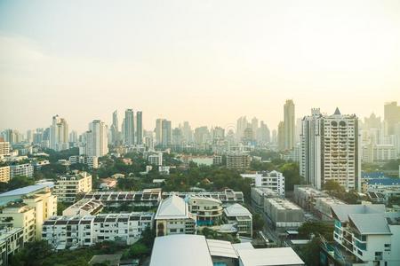 扇形棕榈细纤维城市地平线