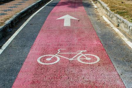 自行车小路为安全骑自行车的人