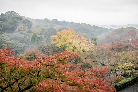 红色的秋日本人花园