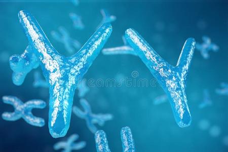 3英语字母表中的第四个字母说明氧-染色体同样地一观念为hum一n生物学我