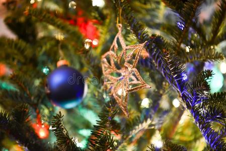 节日的圣诞节树和家畜的肺脏和装饰