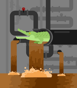 短吻鳄污物处理.鳄鱼采用阴沟.以掠夺为生的人动物.城市lease租约照片