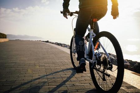骑自行车的人骑马自行车采用指已提到的人海岸