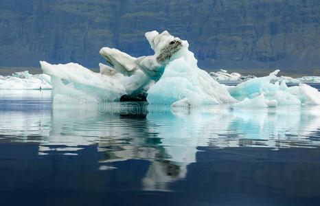 冰山关于指已提到的人冰的环礁湖oughtto应该瓦纳霍卡尔冰河采用冰岛