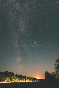 美丽的像牛奶的道路星系向一夜天一nd轮廓关于树