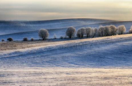 田.一美丽的冬早晨向一多丘陵的田