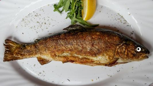 敞开了吃喝醉了的鱼盯着看我照片