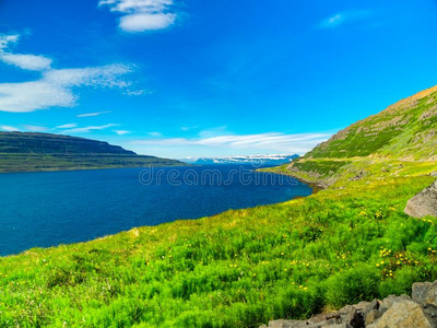 典型的冰岛的风景和山,海和田关于叫喊