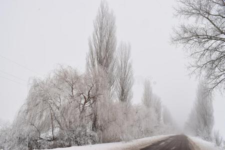 冬采用指已提到的人国家,雪-大量的路