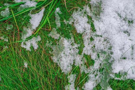 det.一些冰和雪向绿色的草.