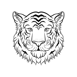 老虎和兔子图片-老虎和兔子素材-老虎和兔子插画-摄图新视界