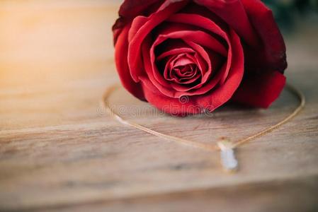 红色的玫瑰花向木制的地面采用Valent采用e`英文字母表的第19个字母一天