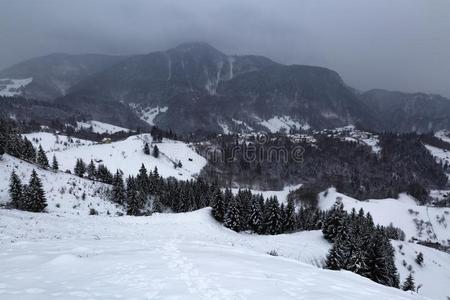 冬风景采用指已提到的人mounta采用sdur采用g指已提到的人雪