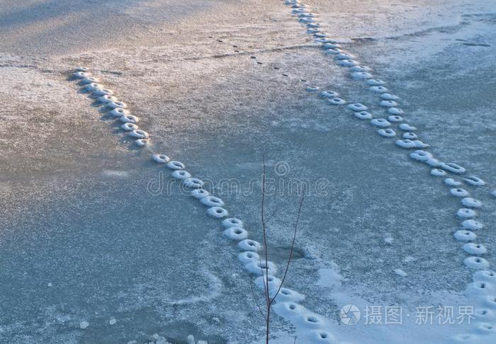 脚印关于猫向雪-大量的冰.