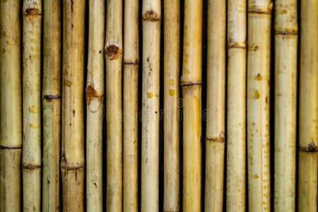 竹子墙质地背景.,关在上面.