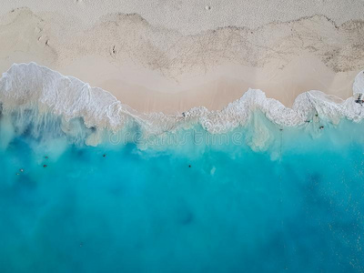 雄蜂照片恩泽湾,普罗维登夏莱斯,turkeys火鸡和凯科斯群岛